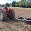 Exposition tracteurs