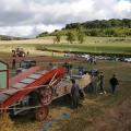 Exposition tracteurs