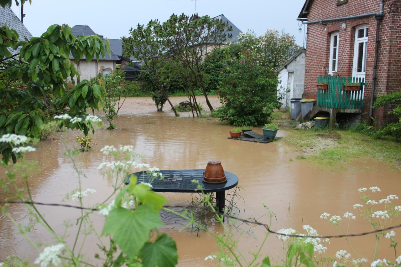 Maisons et jardins inondés