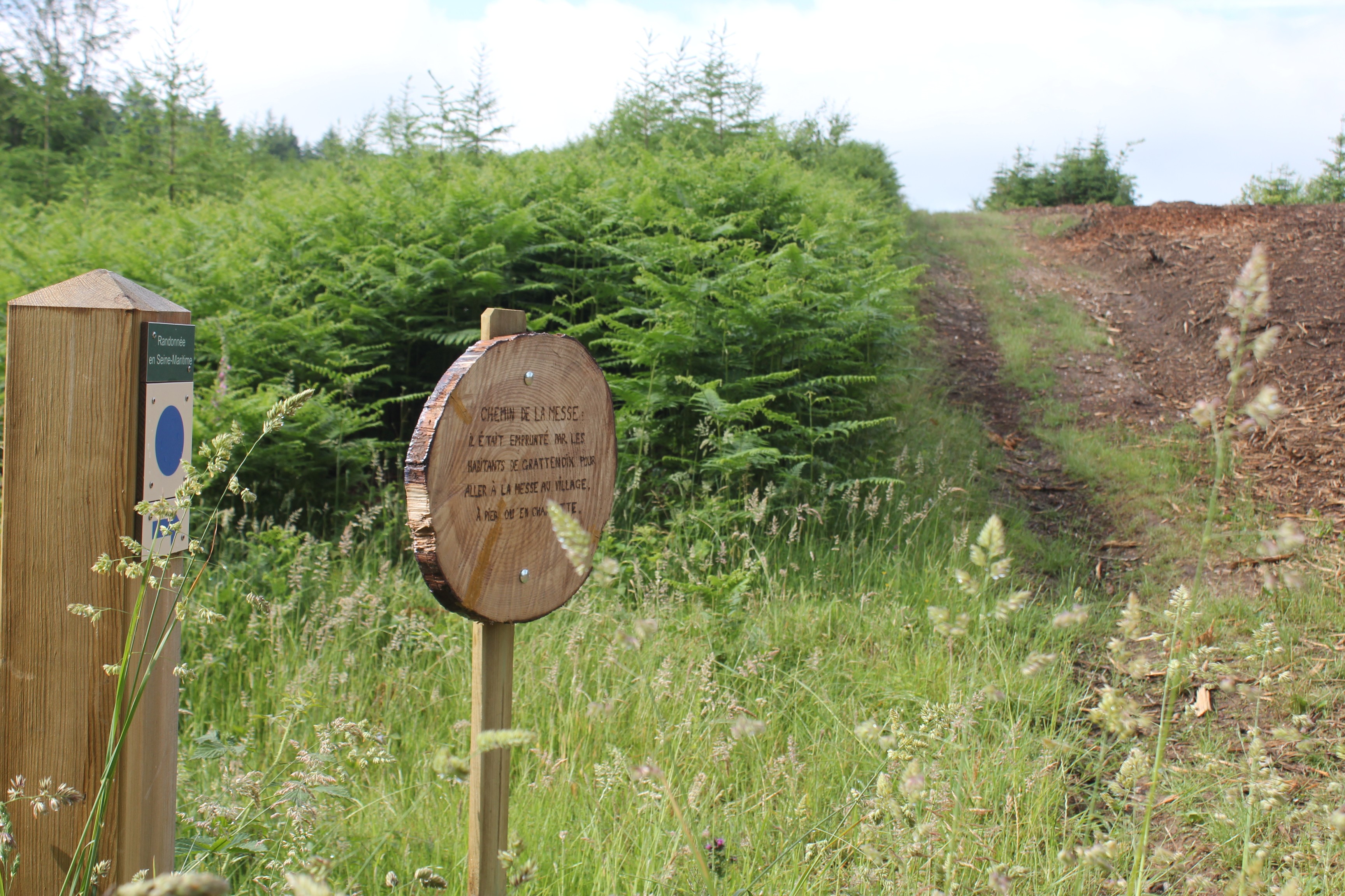 chemin de la messe