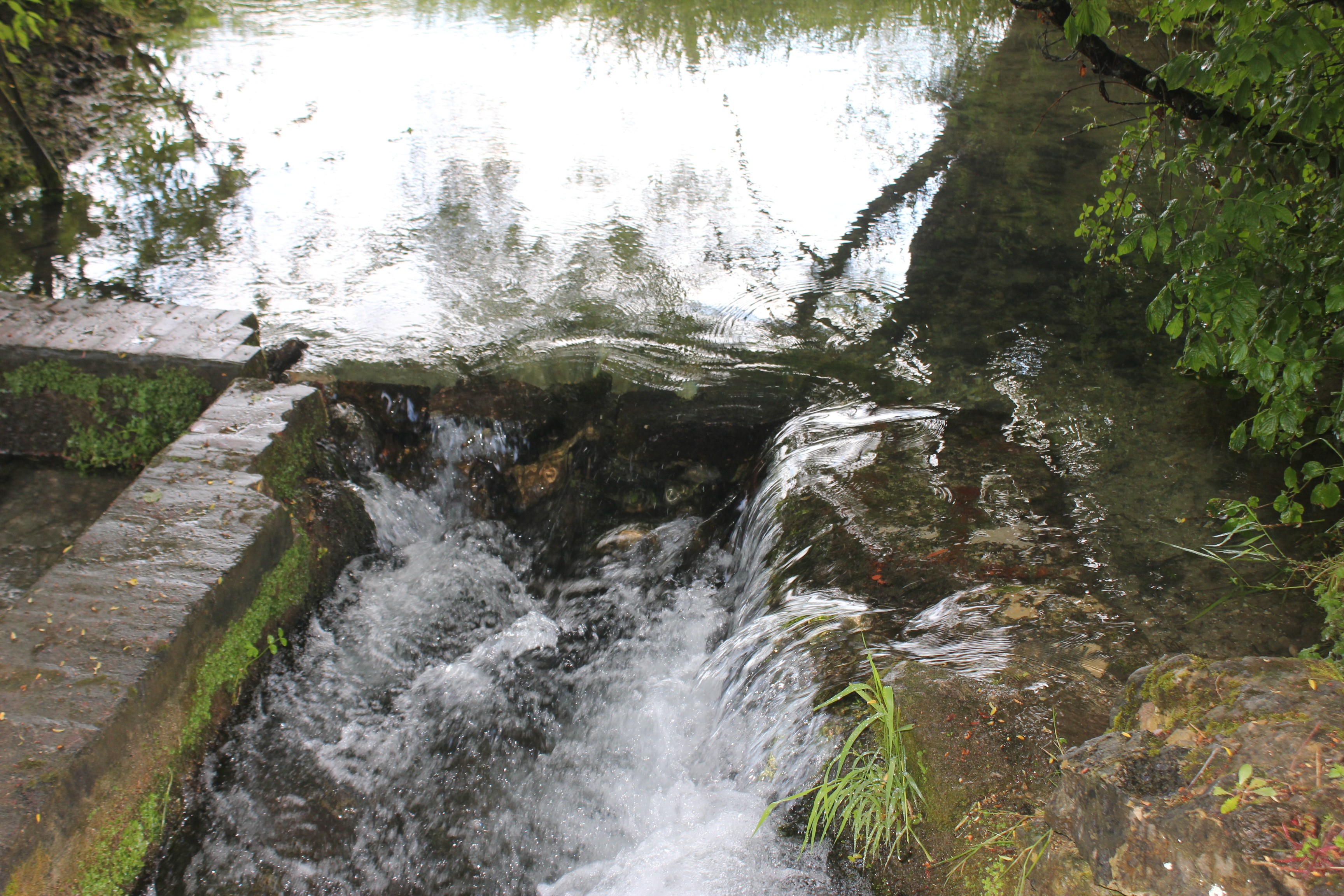 chemin à l'eau