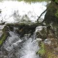 chemin à l'eau