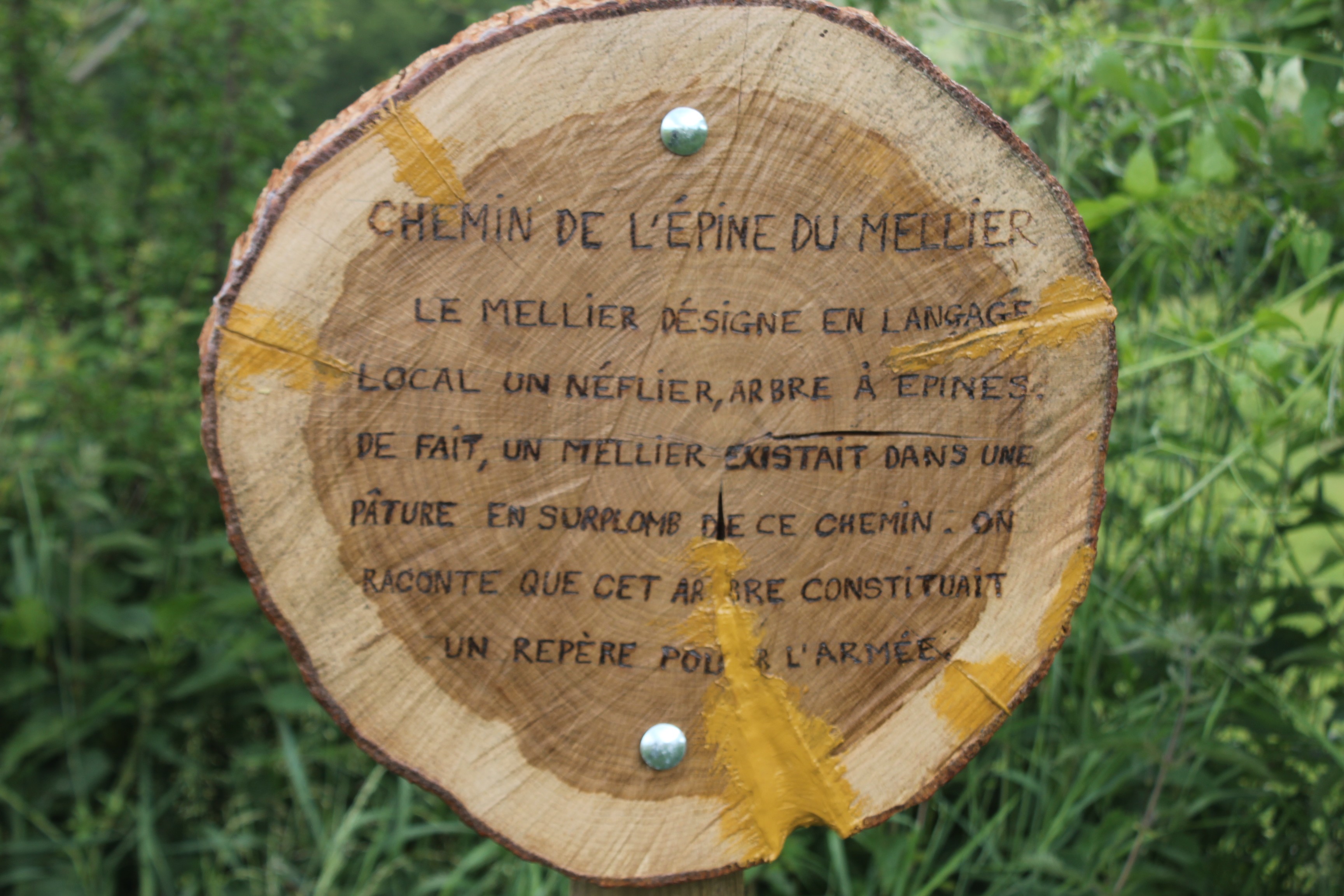 chemin de l'épine du mellier